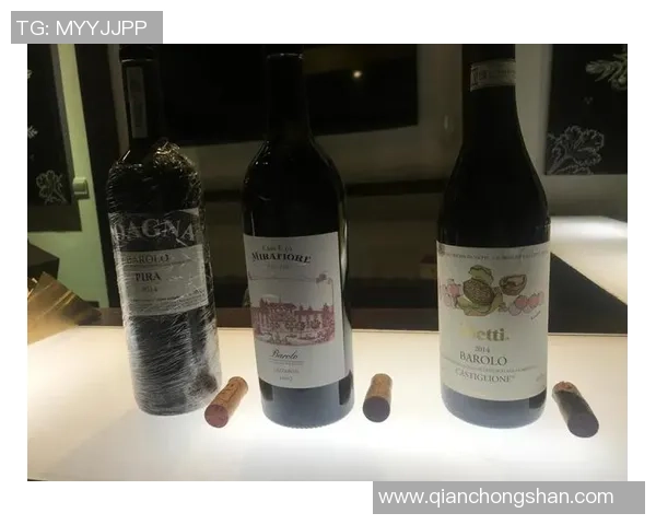 姚明2015红酒的独特魅力与品鉴体验探秘之旅